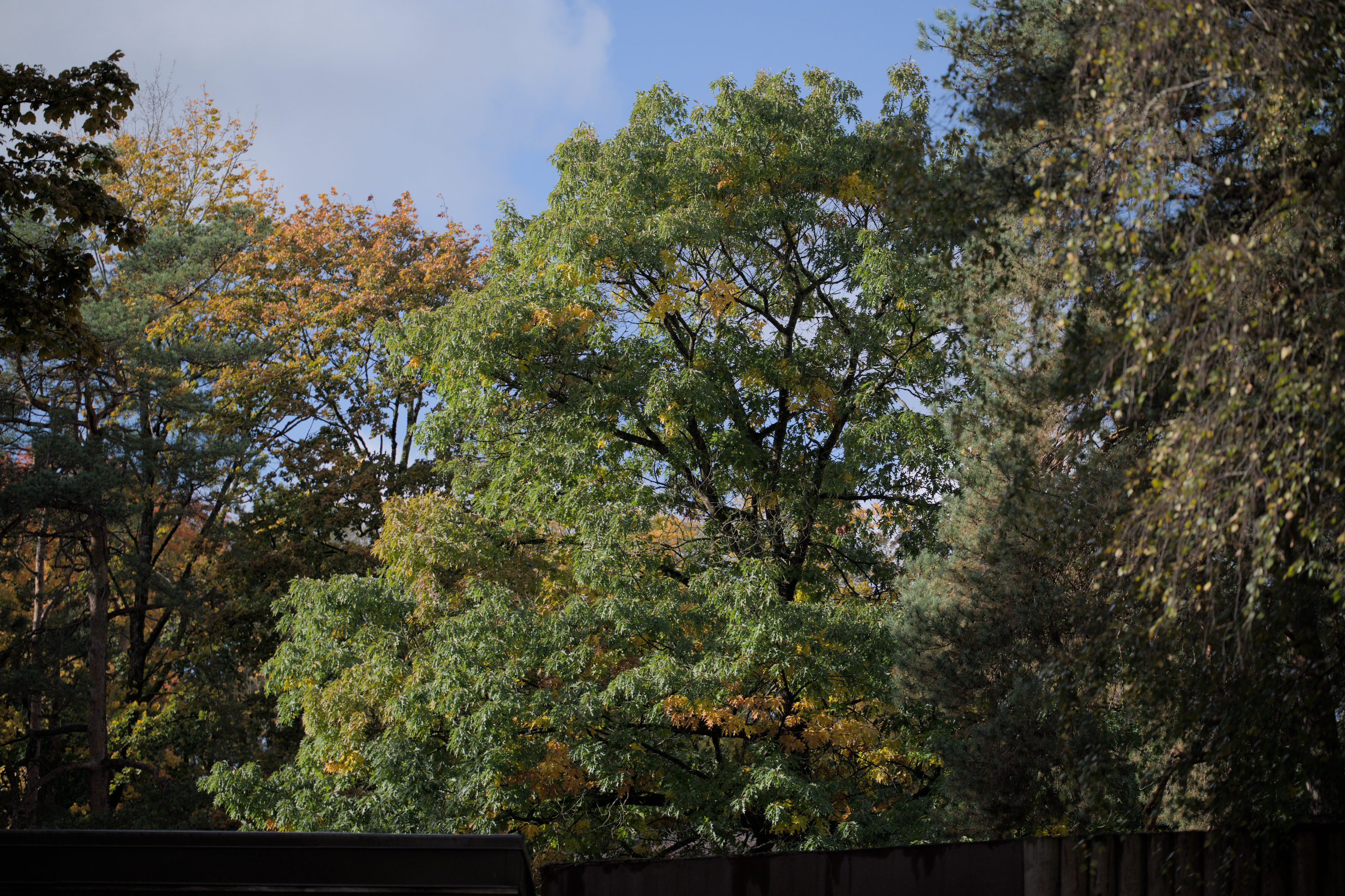 2025/10/12 - zoo/DSC_0302.jpg